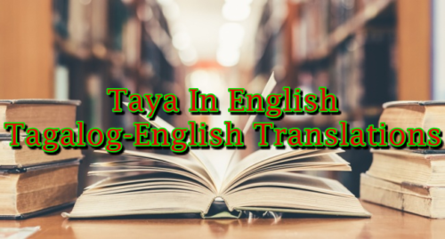 Taya In English