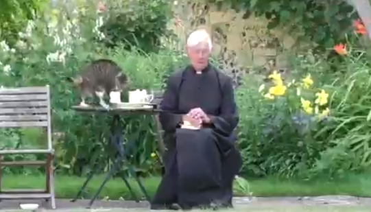 Cat Interrupts Priest During Morning Prayer Livestream, Also Steals Milk