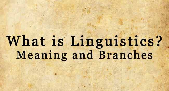 what-is-linguistics-about-the-social-science-branch