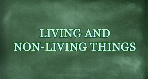 LIVING AND NON-LIVING THINGS
