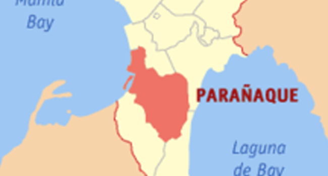 PARAÑAQUE CITY COMPOUND