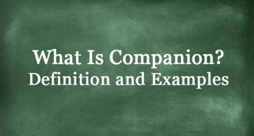WHAT IS COMPANION