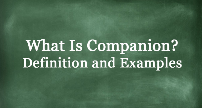 what-is-companion-definition-and-usage-of-this-term