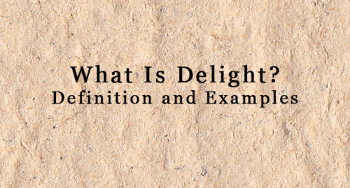 WHAT IS DELIGHT