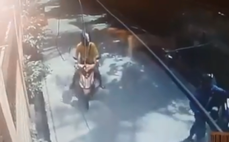 Delivery Rider
