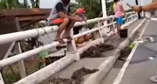 BAYAWAKS IN PAMPANGA