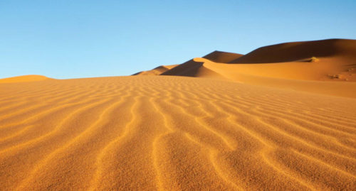 DESERT