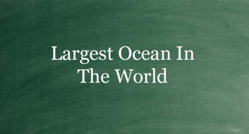 Largest Ocean In The World