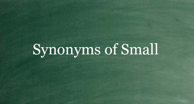 condition of being smaller synonym