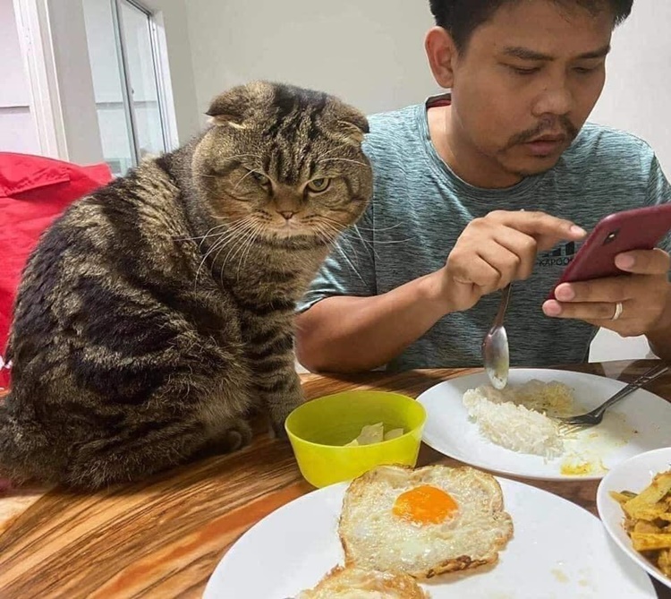 Jealous Lady