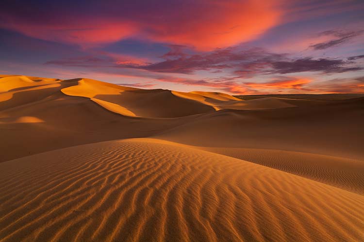 LARGEST DESERT IN THE WORLD