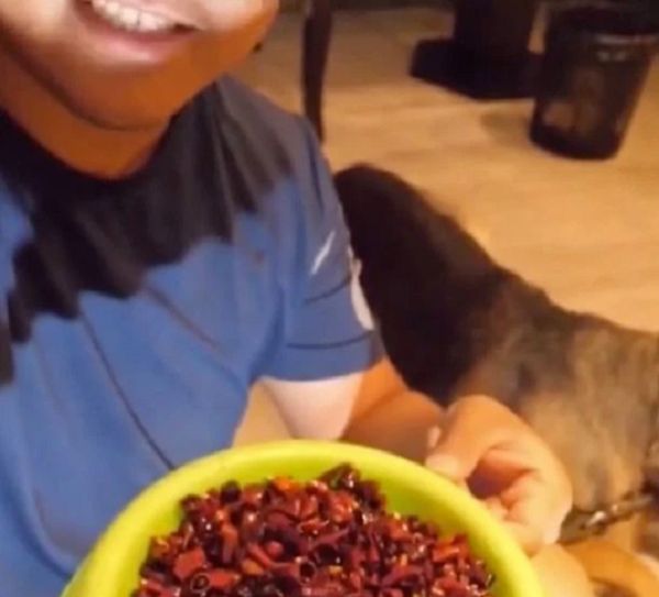 Poor Dog Eat Chili