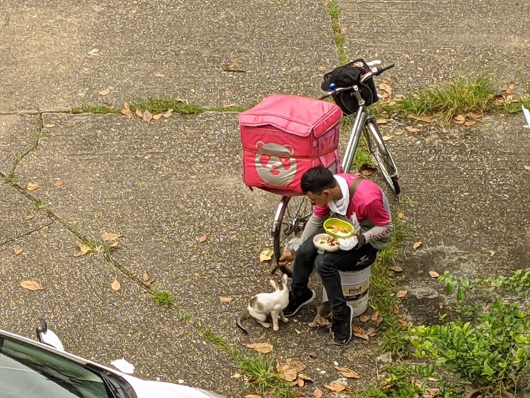 Food Panda Worker