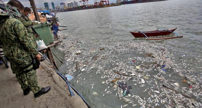 Baseco Fish Kill Was Sabotage? – DENR Exec Says It's A Possibility