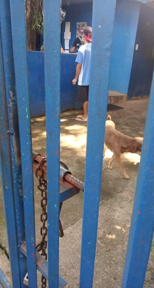 Man in Bacolod City