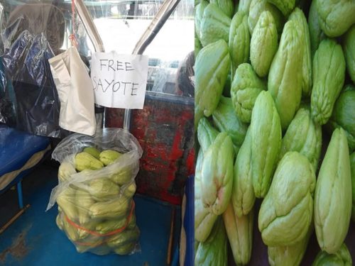 Generous Jeepney Driver
