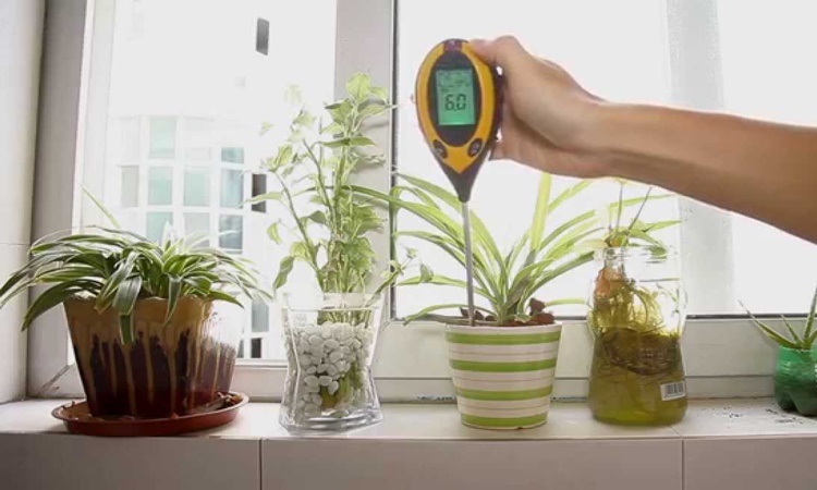 4-in-1-Plant-Soil-Meter