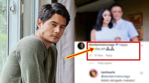 Daniel Matsunaga, Heart Evangelista, Chiz Escudero