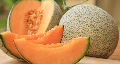 SCIENTIFIC NAME OF MUSKMELON