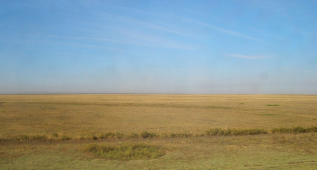 WHAT IS STEPPE