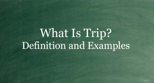 trip meaning and definition