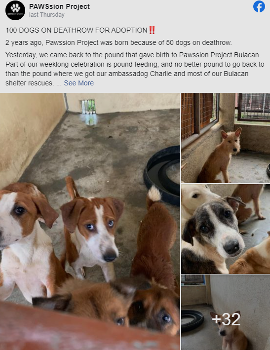 Carla Abellana Adopt