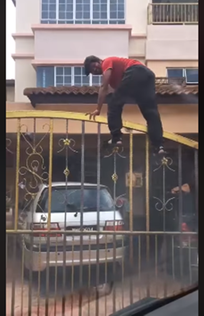 Delivery Rider