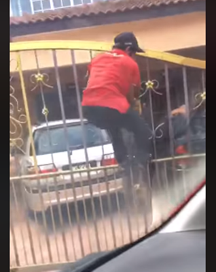 Delivery Rider