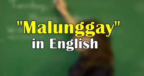 Malunggay in English Translate "Malunggay" In English