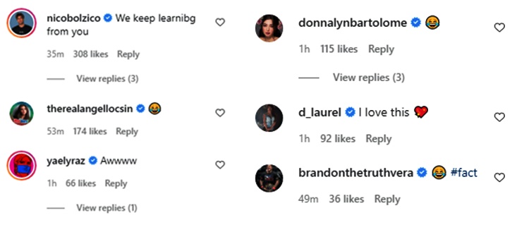 anne curtis comments
