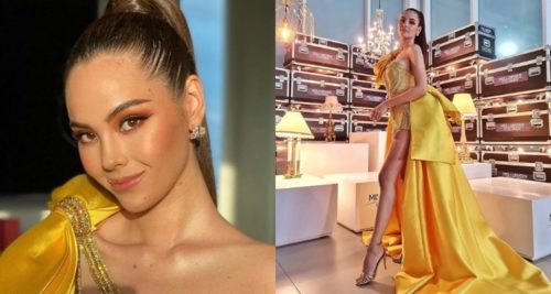 catriona gray outfit