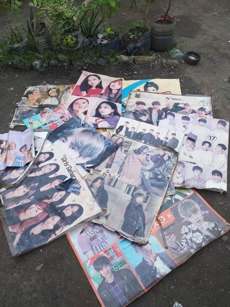 Kpop Fan