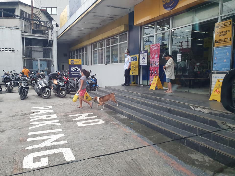 Dog Waits Owner