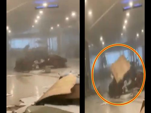 Terrifying Situation