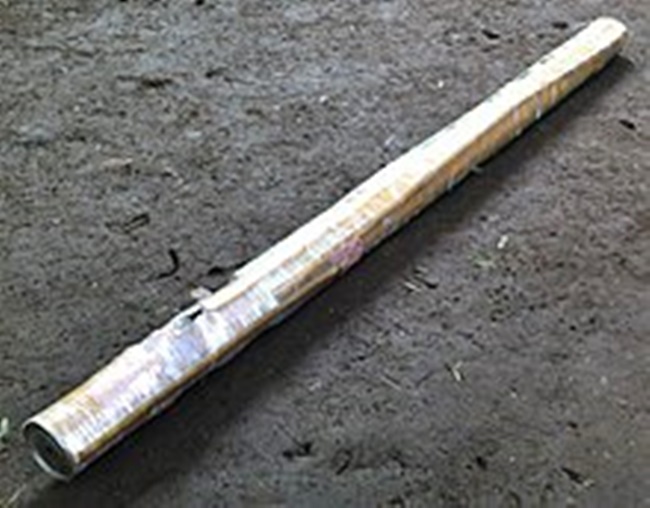 Boga