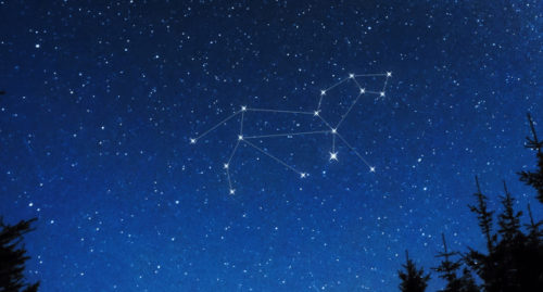 LEO CONSTELLATION