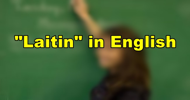 Laitin in English Translate "Laitin" In English