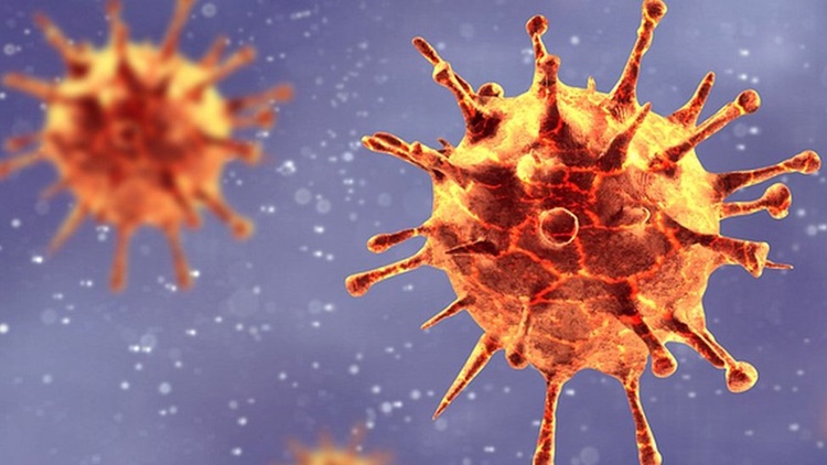 New Coronavirus