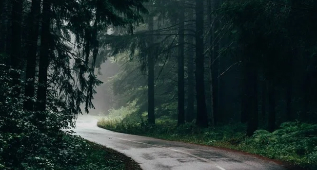 PETRICHOR