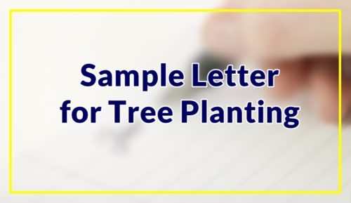 Sample Letter for Tree Planting