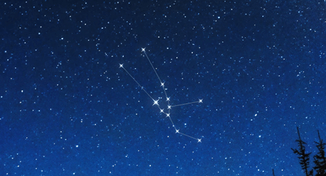 Taurus Constellation | Constellations In The Northern Hemisphere