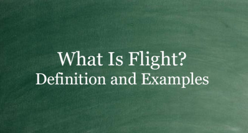 what-is-flight-definition-and-usage-of-this-term