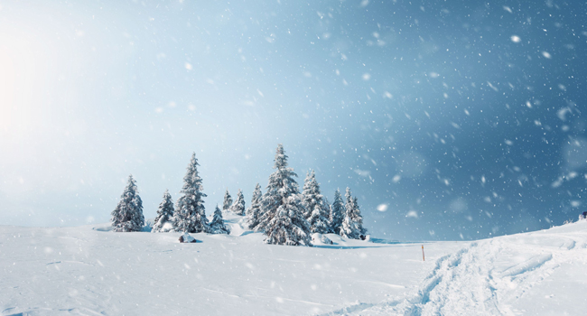 WINTER QUOTES