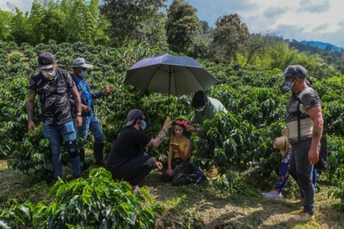 Television Kissing Scenes