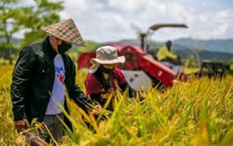 Caraga Farmers