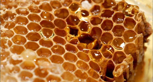 Your Honey Is Probably Fake – 80% Of Honey Sold Is Artificial Says DOST