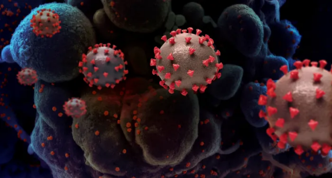 WHO Says New COVID-19 Variant Is Normal Part Of Virus' Evolution
