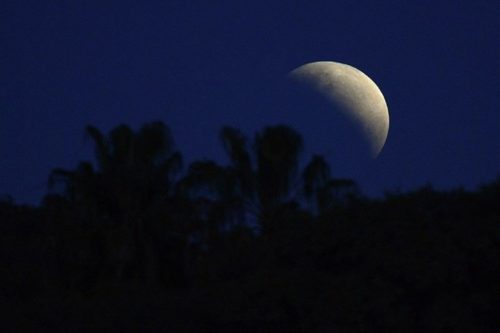 Longest Night