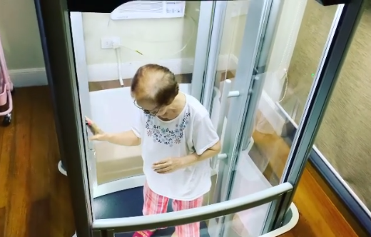 Xian Lim House Elevator