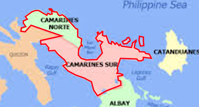 CAMARINES DRUG STINGS